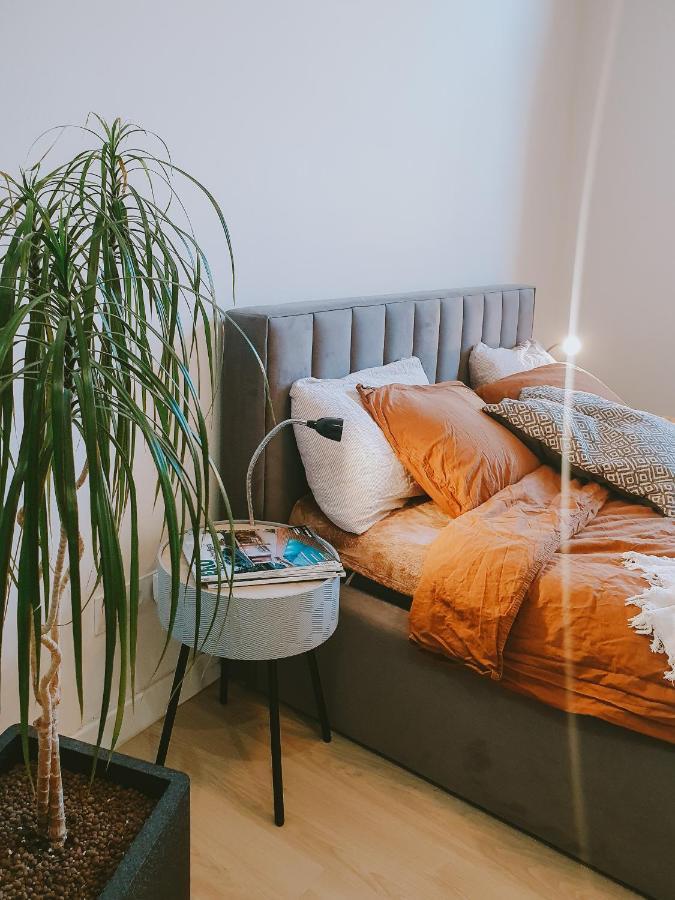 Priestranny Apartman V Centre Košice Exteriör bild